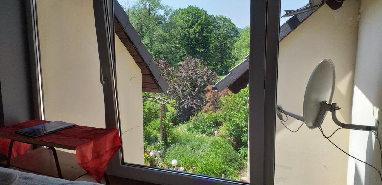 Apasjonata Apartman Świdnica Kültér fotó
